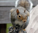 © Johnlric | Dreamstime.com