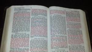 IMG_20131030_075636_787