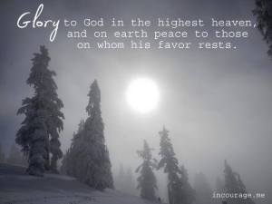 1487304_10202985527502930_829738040_n