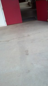 IMG_20140128_090244_264