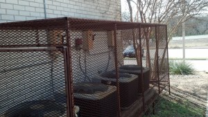 IMG_20140324_111347_318