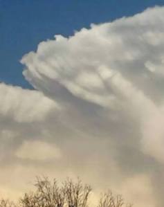 11060018_10206201281935869_4190886433056711074_n